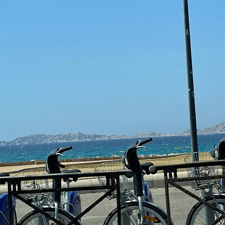 Appartement Pointe Rouge Borely Marseille